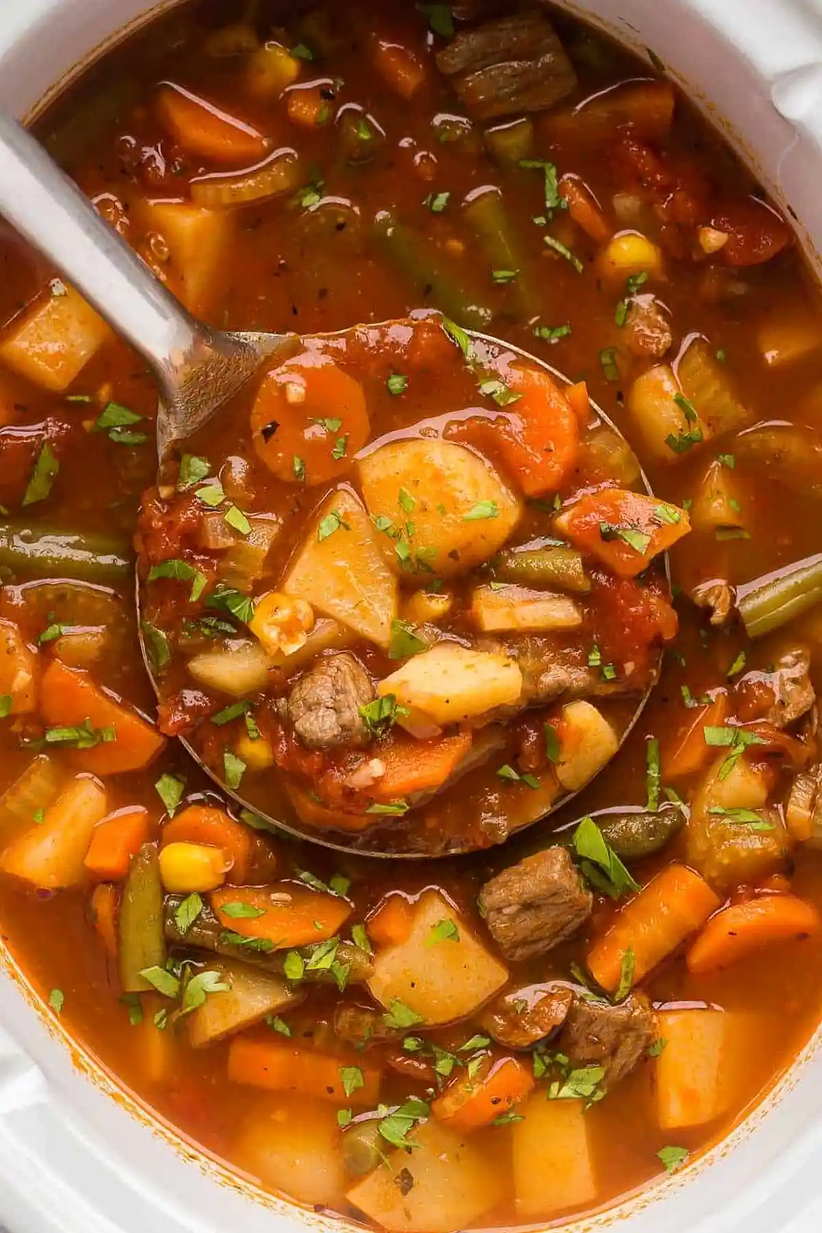 Crockpot Vegetable Beef Soup 3 Recipe image