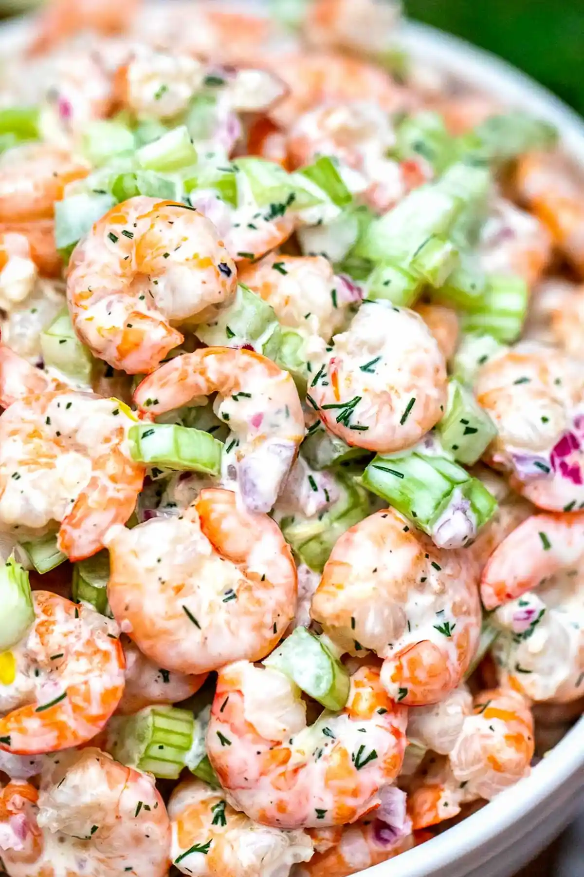 Crunchy and Creamy Shrimp Salad 3 Recipe image