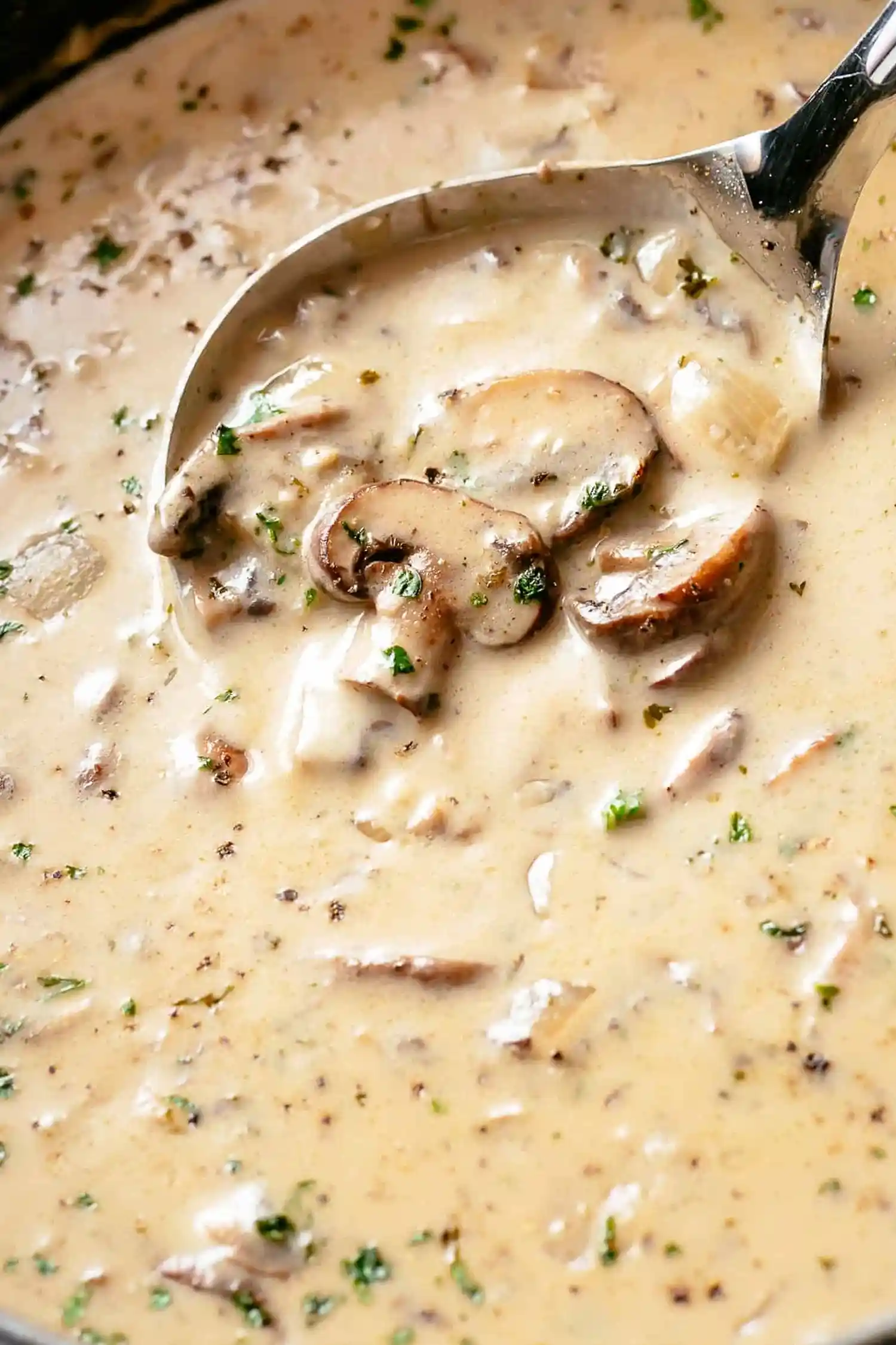 Homemade Cream of Mushroom Soup 3 Recipe image