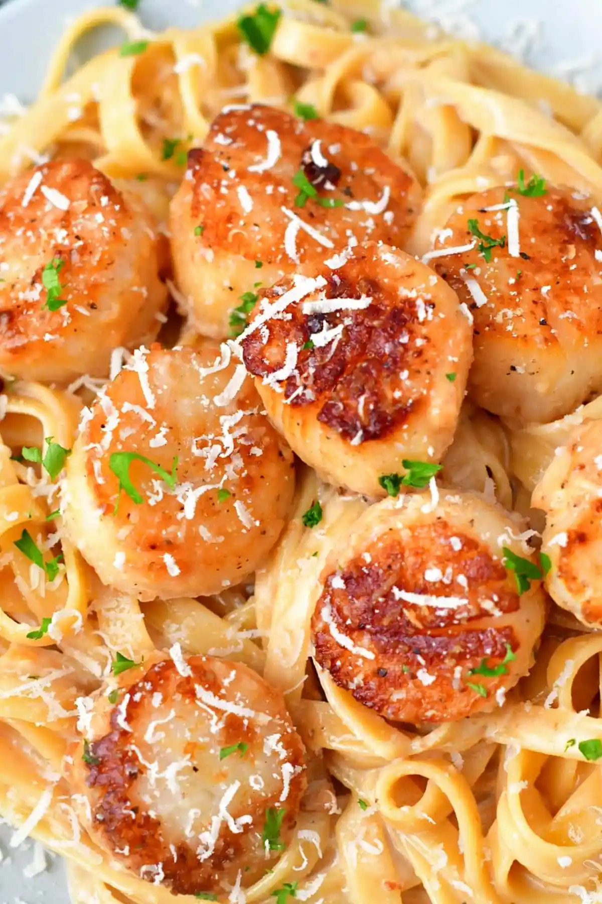 Pan-Seared Scallops with Rich Parmesan Cream Sauce 3 Recipe image