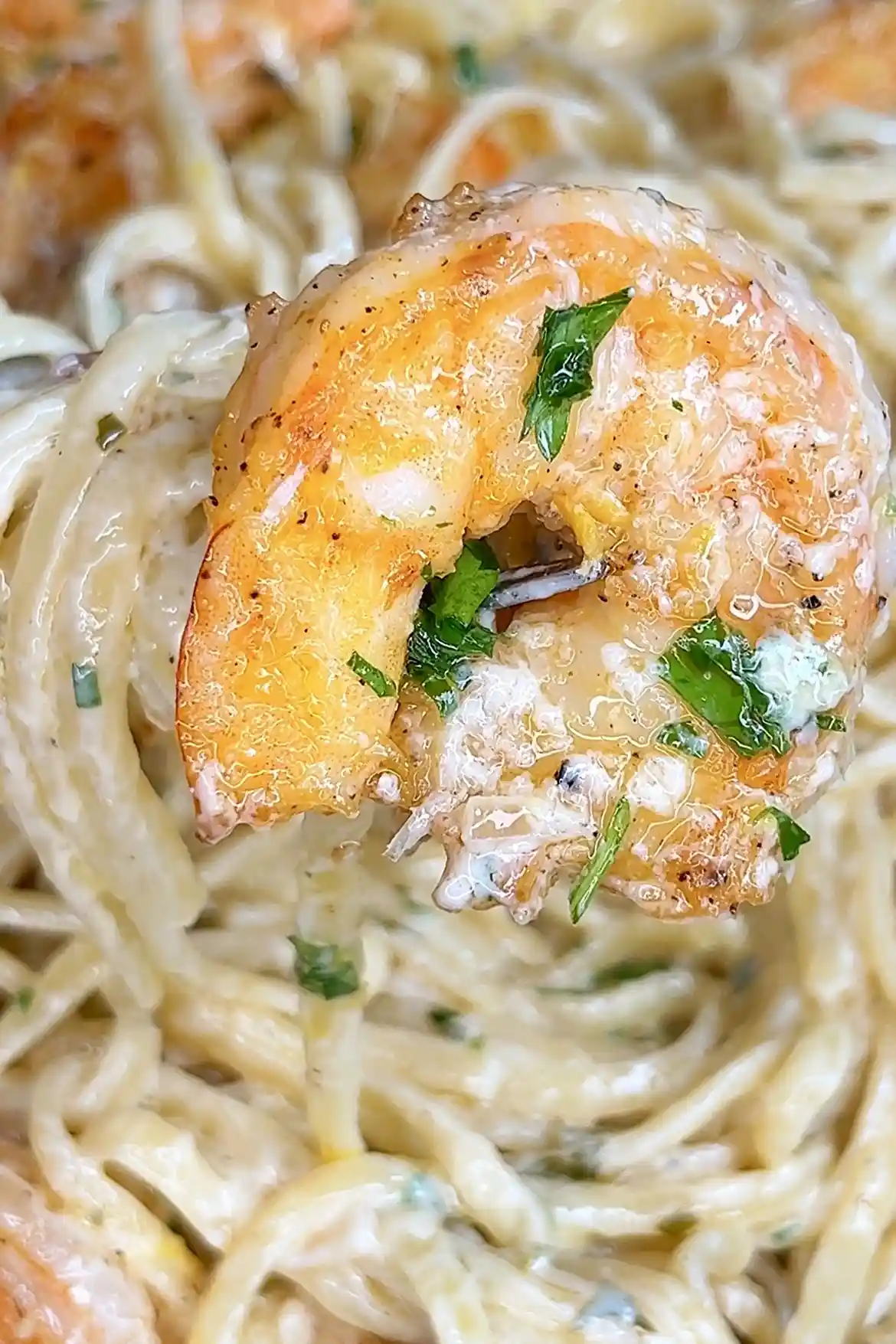 Velvety Garlic Herb Creamy Shrimp Scampi 3 Velvety Garlic Herb Creamy Shrimp Scampi